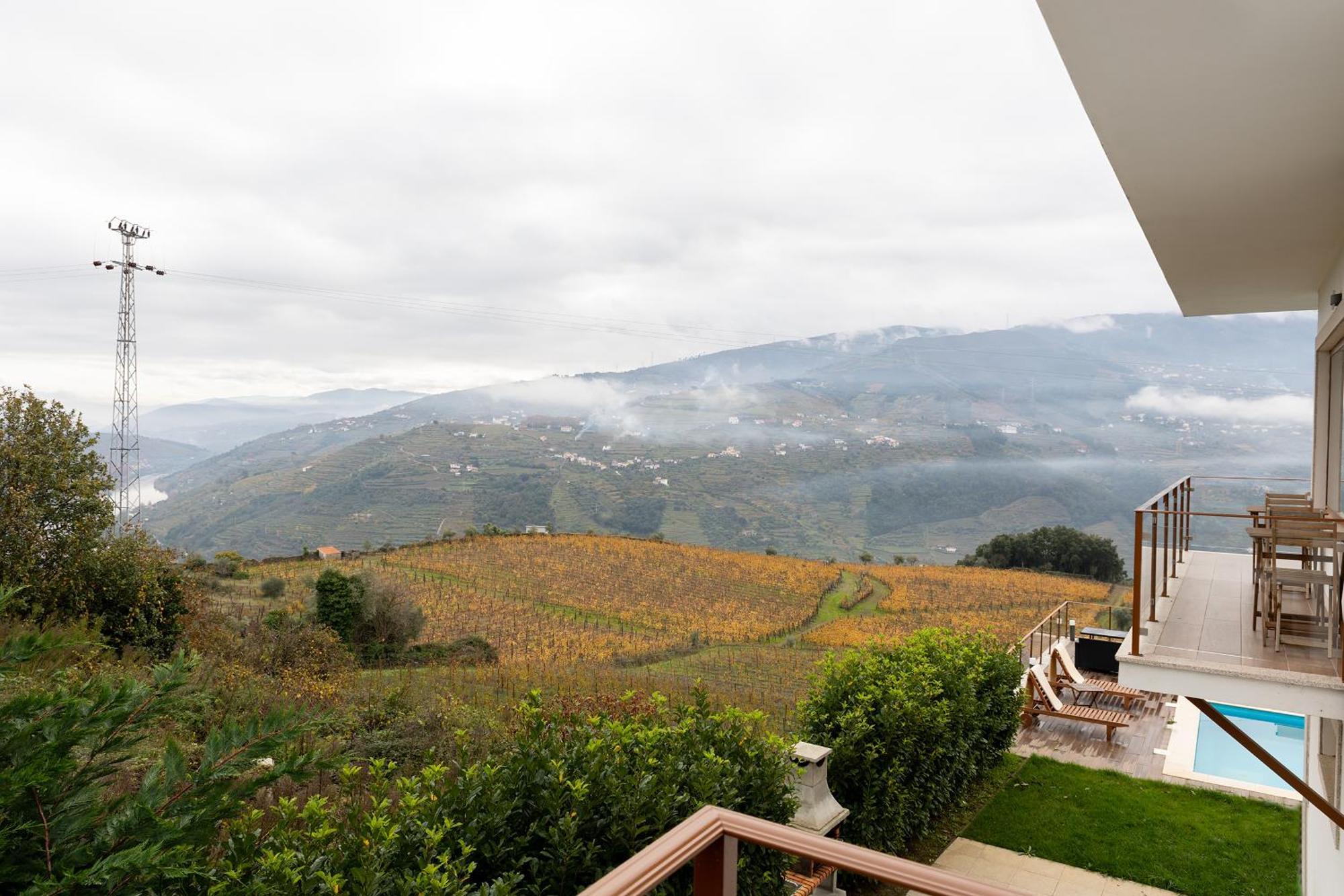 Vila Douro Guesthouse 梅骚·弗里奥 外观 照片